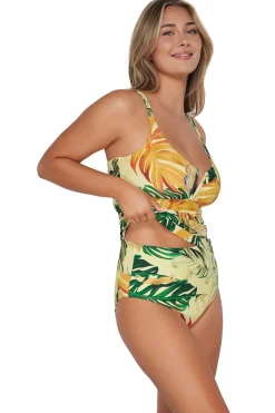 Plus Size|Underwire<Sunsets Amber Oasis Zuri V-Wire Tankini Top