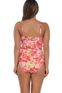 Plus Size|Underwire<Sunsets Butterfly Beach Zuri V-Wire Tankini Top