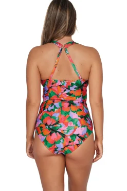 Plus Size|Underwire<Sunsets Hummingbird Cove Elsie Tankini Top