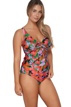 Plus Size|Bra-Sized<Sunsets Hummingbird Cove Forever Tankini Top